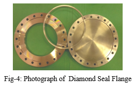 Fig-4: Photograph of  Diamond Seal Flange