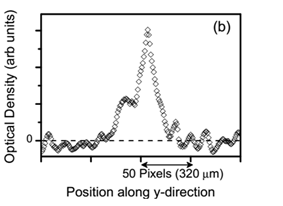 Figure C.2: (a) An observed image and (b) spatial profile of optical density of an ultracold atom-cloud with Bose-Einstein condensate at the center.