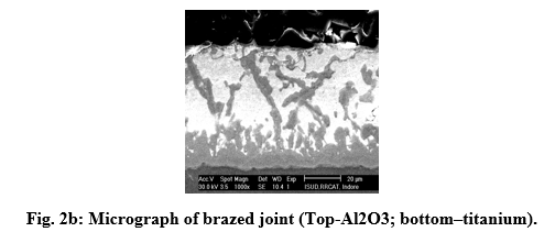 Fig. 2b: Micrograph of brazed joint (Top-Al<sub>2</sub>O<sub>3</sub>; bottom–titanium)