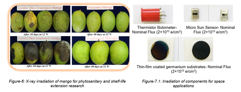 Figure-6: X-ray irradiation of mango for phytosanitary and shelf-life extension research, Irradiation of components for space applications