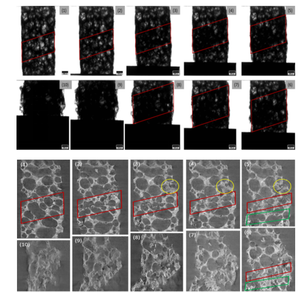  In-situ deformation and stress band formation in Al foam under compression load  