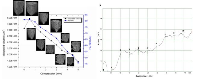  In-situ deformation and stress band formation in Al foam under compression load