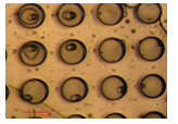 (3) Fabrication of designed lattice