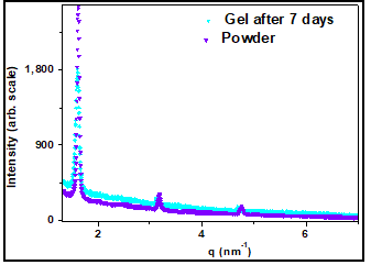 Evaporation induced evolution of lamellar structure at different stage of drying.  The SAXS profiles of the powder and SDS gel after completion of drying process sample are shown for comparison. The swelling of SDS gel appears to be reversible process [1].
