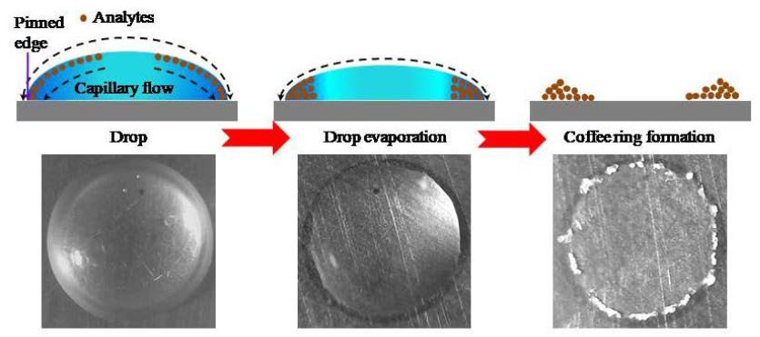 Mechanism of Drop Coating Deposition. During the drying of a sessile drop, capillary flow results in deposition of solutes at the edge to form a coffee ring. Top panel is schematic representation of the process. Bottom panel shows bright-field images of the drop of an aqueous solution of an analyte at different time points during drying.