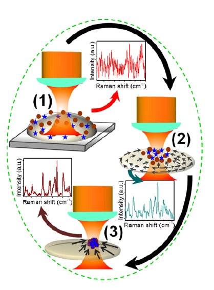 Schematic representation of Nano- trap enhanced Raman spectroscopy (NTERS). Ref Anal. Chem. 91(5) 3555–3560 (2019). https://doi.org/10.1021/acs.analchem.8b05371