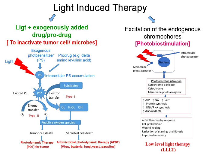 Possible ways of generating light induced therapeutic effects.