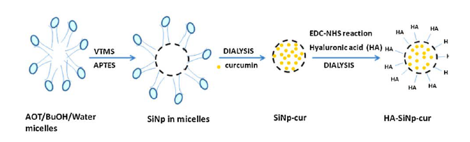 Schematic diagram showing SiNp preparation and curcumin encapsulation, for anticancer application