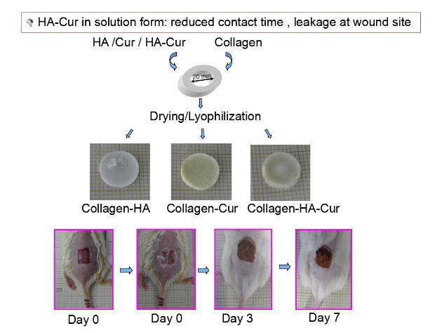 Schematic of preparation of collagen biofilm with curcumin HA conjugate for wound healing application