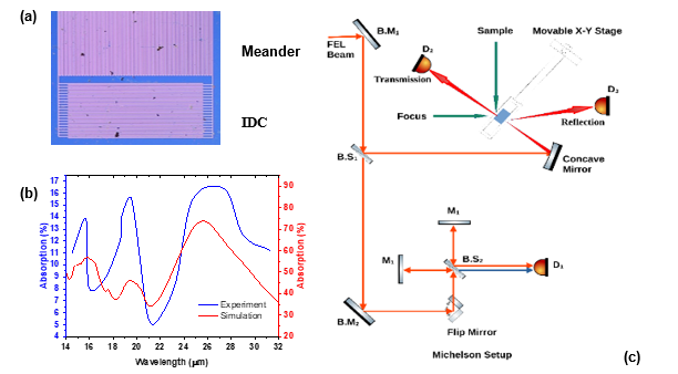 चित्र 14: (a) पल्स्ड DC मैग्नेट्रॉन स्पटरिंग और UV-फोटोलीथोग्राफी का इस्तेमाल करके बनाया गया सुपरकंडक्टिंग Ti40V60 अलॉय थिन फिल्म आधारित LEKID स्ट्रक्चर। (b) LEKID स्ट्रक्चर में प्रयोगात्मक रूप से  मापे गए एब्जॉर्प्शन की तुलना CST सिमुलेशन के नतीजों से, 14 से 30 माइक्रोन तक की अलग-अलग आईआर-एफईएल तरंग दैर्ध्य पर। (c) पोर्ट P-4 पर प्रयोगात्मक स्थापना का योजनाबद्ध आरेख, जिसका इस्तेमाल आईआर-एफईएल ट्रांसमिशन और रिफ्लेक्शन के एक साथ माप के ज़रिए एब्जॉर्प्शन का अनुमान लगाने के लिए किया गया था।