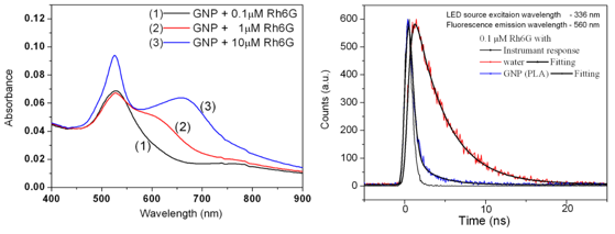 Fig. 10 (Left) Absorption spectra of GNP-Rh6G composites at different dye concentrations and (right) excited state decay profile of the dye without and with GNPs. 