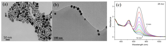 Fig. 13 TEM images of (a) gold nanorods and (b) gold nanospheres after laser irradiation and (c) variation of optical absobance with laser irradiation time. 
