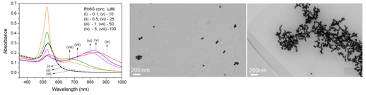 Fig. 17 (L-R) Absorption spectra of GNP-dye composites, TEM image of the composite with 1 and 10 <span>μ</span>M concentration of dye showing varied size aggregates.