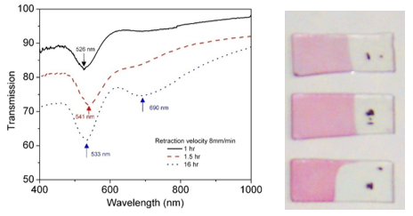 Fig. 21 Transmission spectra of gold nanoparticle films obtained using micelle templates and their viewgraphs. 