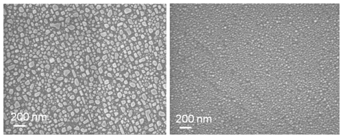 Fig. 7 SEM images of a typical gradient film in (left) top and (right) bottom regions.