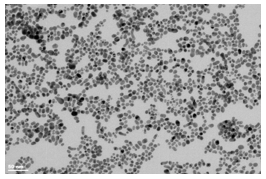 Fig. 9 TEM image of gold nanoparticles prepared by LPPLA. 