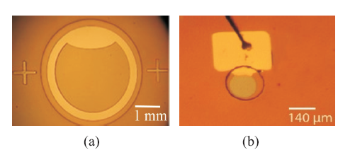 Photographs of GaAs photodetector element
having a diameter of (a) 3 mm, and(b) 100 m