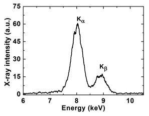 Laser Plasma Division, RRCAT