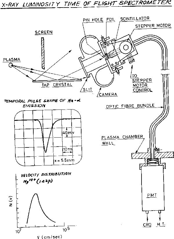 XR-LTOFS Setup