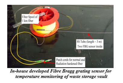 In-house developed Fibre Bragg grating sensor for temperature monitoring of waste storage vault