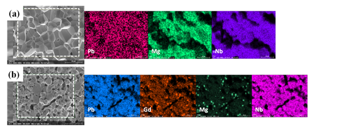 Figure 8: SEM micrograph of the fractured surface of (a) PMN, and (b) Gd-doped PMN ceramic sample along with Pb, Gd, Mg, and Nb elemental mapping showing uniform distribution of these ions in the perovskite grains and presence of the GdNbO4 and MgO phases.