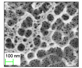 Fig 1 SEM image of Porous Anodized aluminium support