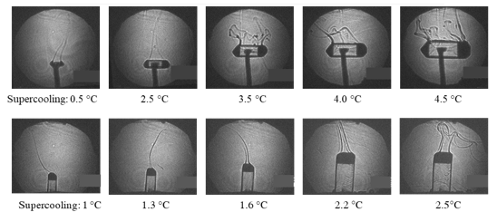 Shadowgraphic imaging of buoyancy driven convection during solution crystal growth process and quantifying its strength in terms of Grashof number (Rec. Res. Develop. in Cryst. Growth 5 (2009) 141-314)