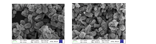 (b) SEM images of synthesized ZnO nanorods coated with gold nanoparticles
