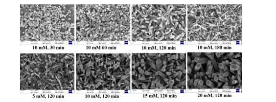 (a) SEM images of synthesized ZnO nanorods for different solutions and growth time
