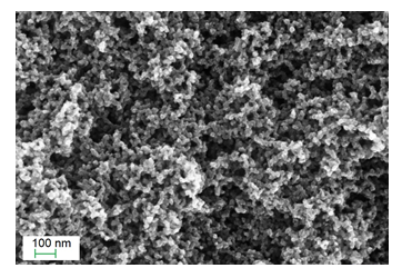 Fig 3. FESEM of high surface area CA