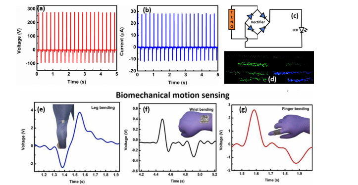 Figure: (a) Open-circuit voltage, (b) short-circuit current characteristics of as-fabricated TENG, (c) Rectifier circuit used to directly (d) power 400 serially connected LEDs and (e) Open-circuit voltage characteristics upon leg bending, (f) wrist bending and (g) Finger bending